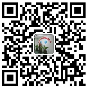 微信二维码